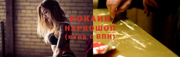 дживик Абинск