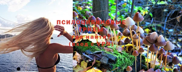 скорость Абаза