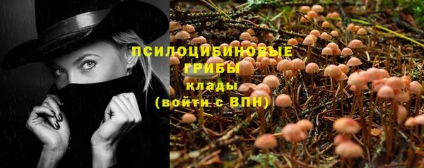 скорость Абаза
