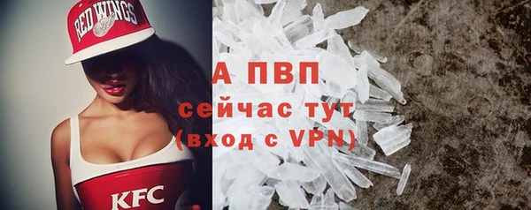 крисы Покачи