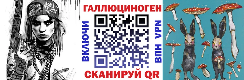 Псилоцибиновые грибы Psilocybine cubensis  Таштагол 