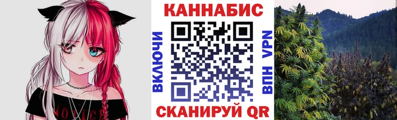 Конопля сатива Таштагол